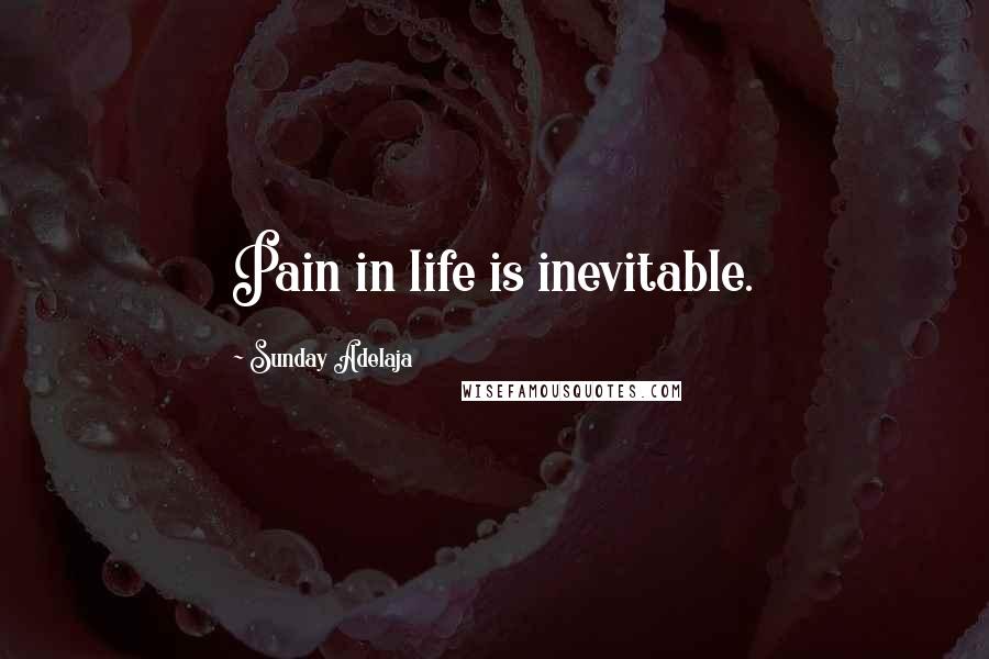 Sunday Adelaja Quotes: Pain in life is inevitable.