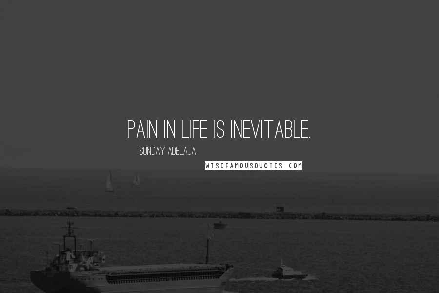 Sunday Adelaja Quotes: Pain in life is inevitable.