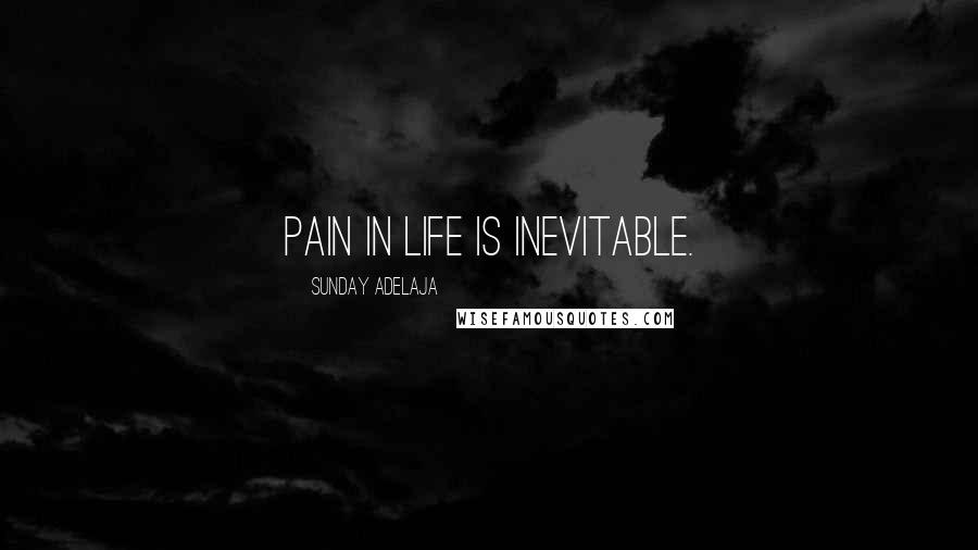 Sunday Adelaja Quotes: Pain in life is inevitable.