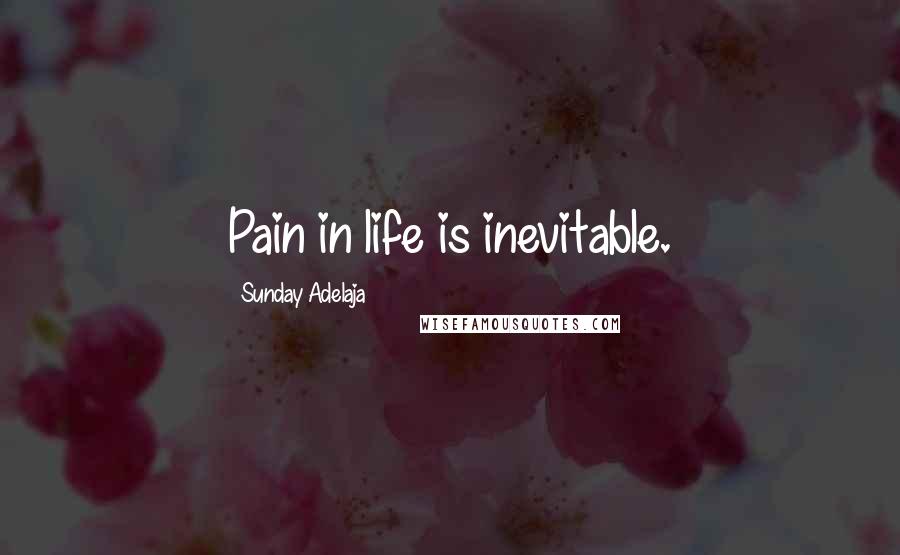 Sunday Adelaja Quotes: Pain in life is inevitable.