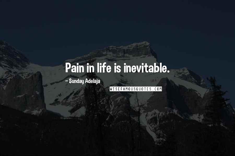 Sunday Adelaja Quotes: Pain in life is inevitable.
