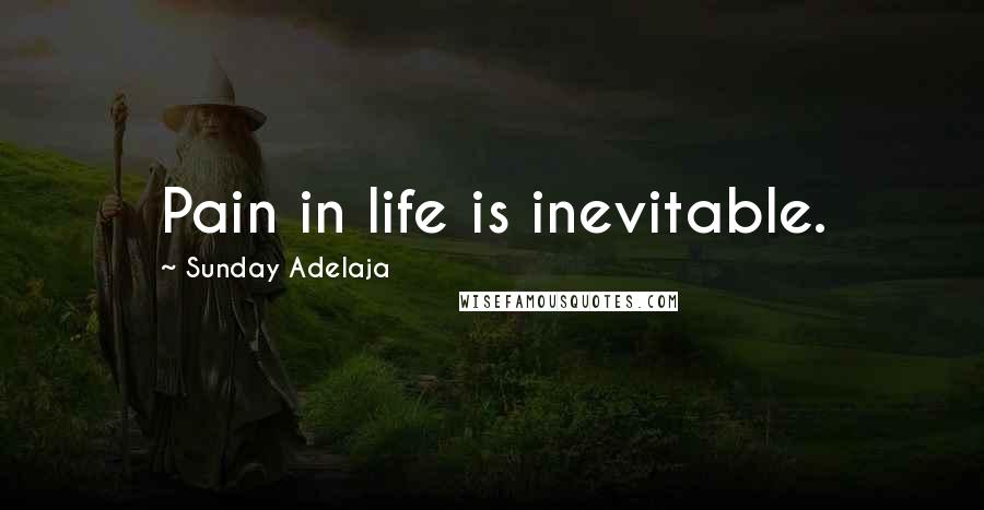 Sunday Adelaja Quotes: Pain in life is inevitable.