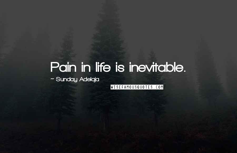 Sunday Adelaja Quotes: Pain in life is inevitable.