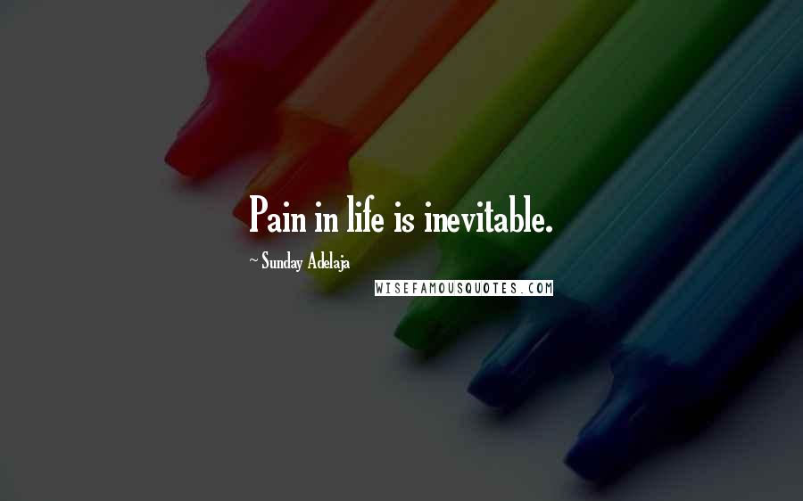 Sunday Adelaja Quotes: Pain in life is inevitable.