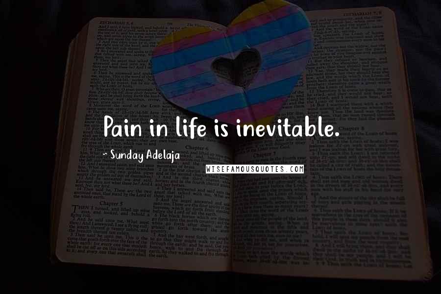 Sunday Adelaja Quotes: Pain in life is inevitable.