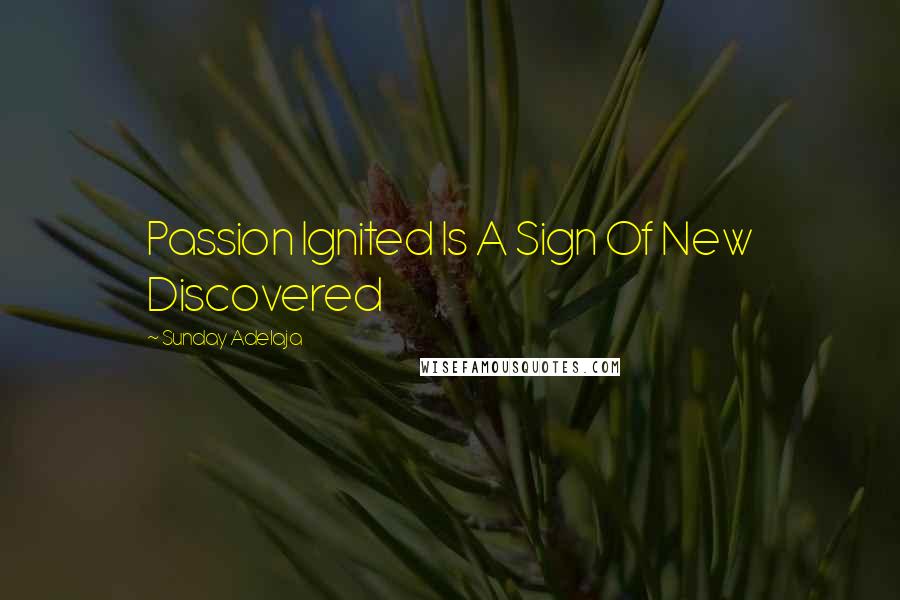 Sunday Adelaja Quotes: Passion Ignited Is A Sign Of New Discovered