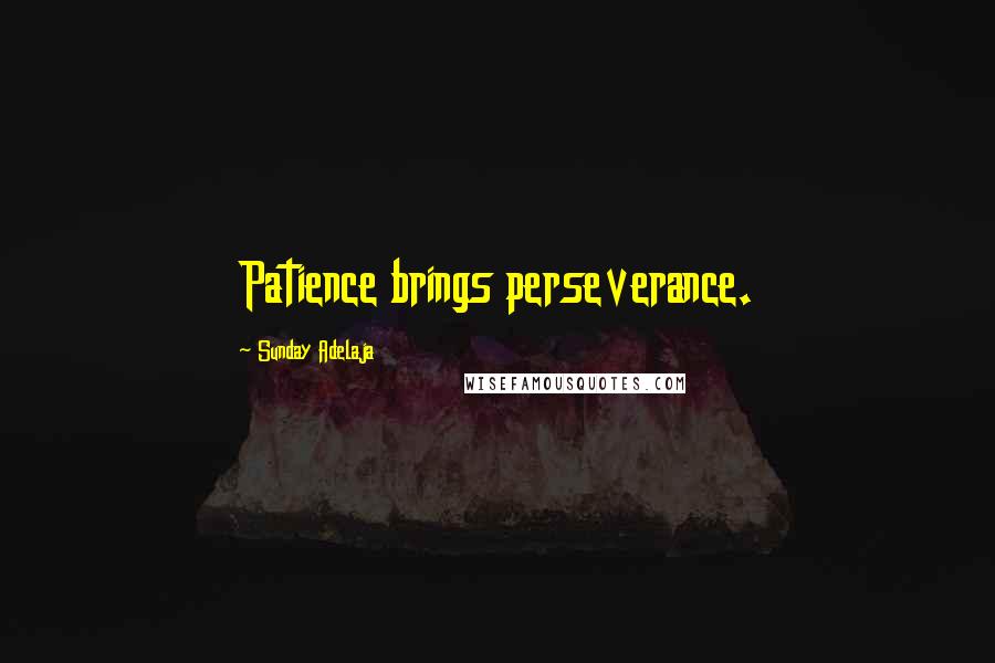 Sunday Adelaja Quotes: Patience brings perseverance.