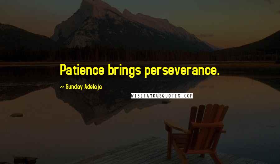 Sunday Adelaja Quotes: Patience brings perseverance.