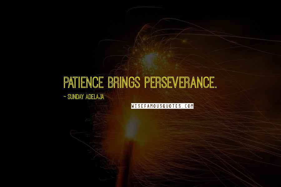 Sunday Adelaja Quotes: Patience brings perseverance.