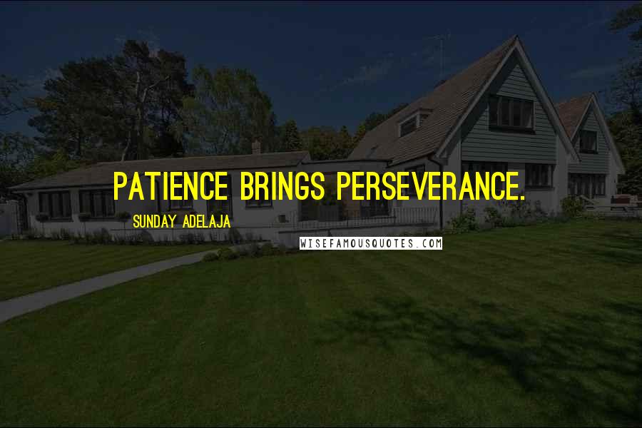 Sunday Adelaja Quotes: Patience brings perseverance.