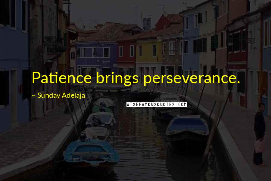 Sunday Adelaja Quotes: Patience brings perseverance.