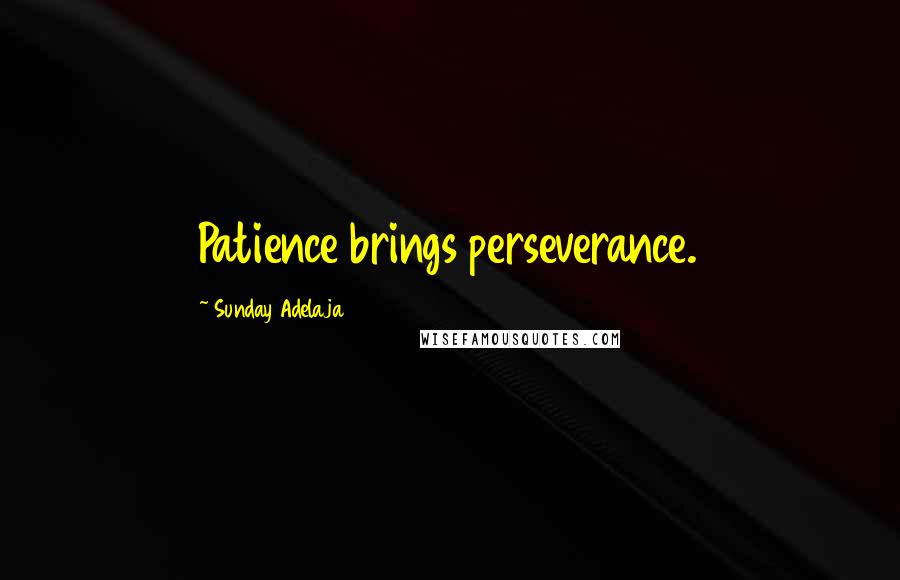 Sunday Adelaja Quotes: Patience brings perseverance.