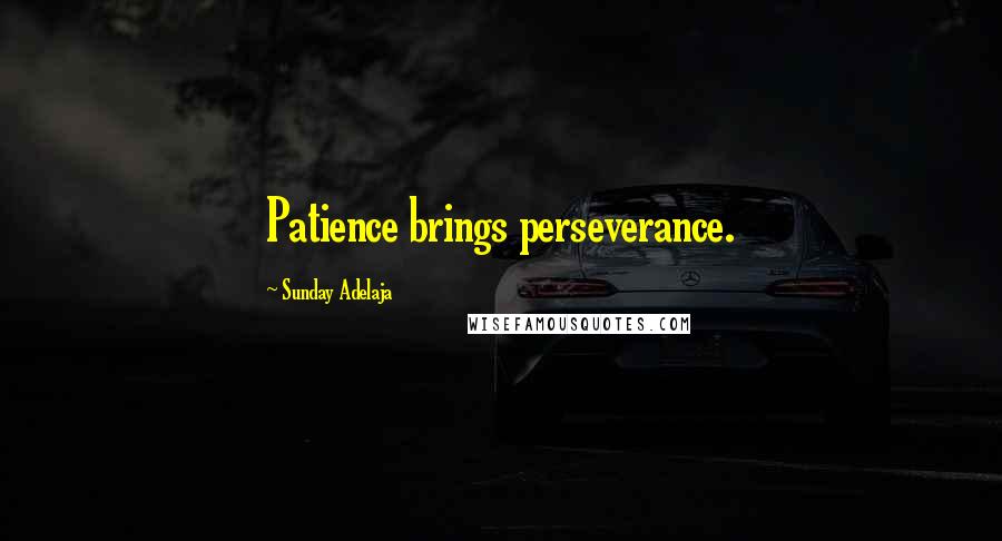 Sunday Adelaja Quotes: Patience brings perseverance.