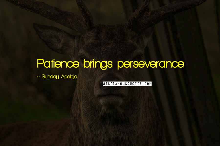 Sunday Adelaja Quotes: Patience brings perseverance.