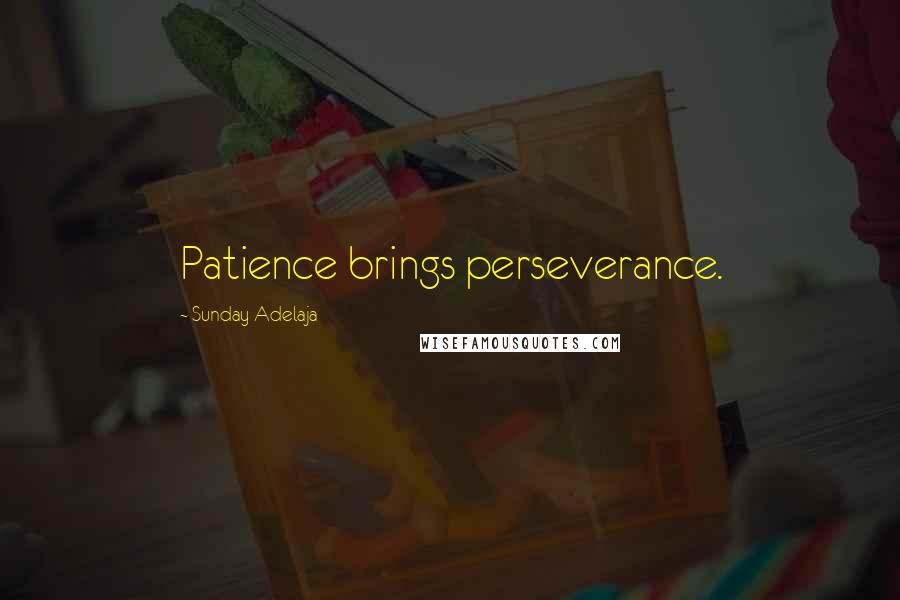 Sunday Adelaja Quotes: Patience brings perseverance.