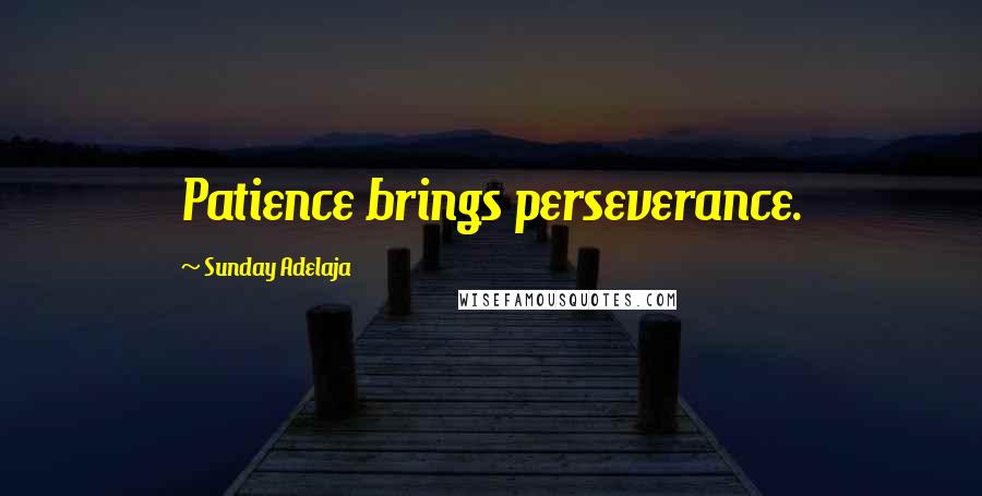 Sunday Adelaja Quotes: Patience brings perseverance.