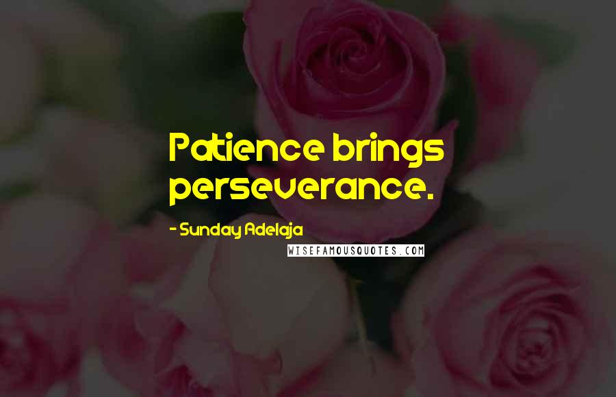 Sunday Adelaja Quotes: Patience brings perseverance.