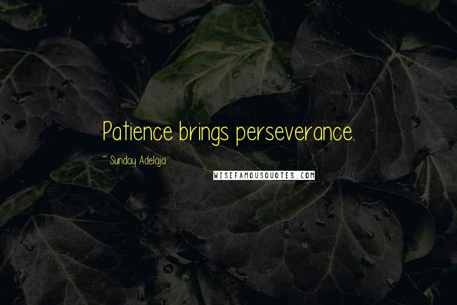 Sunday Adelaja Quotes: Patience brings perseverance.