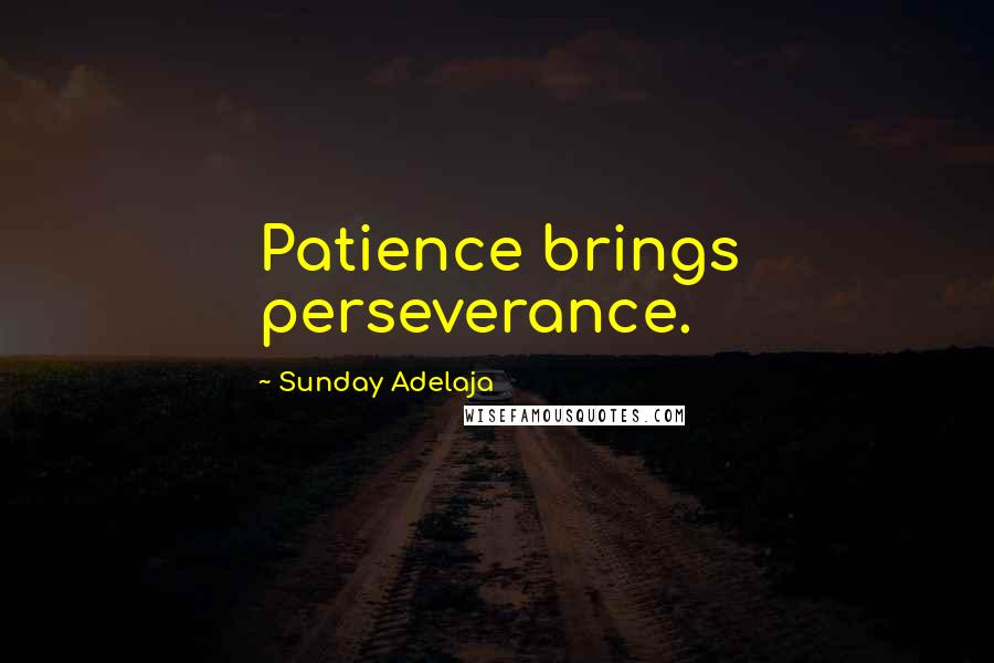 Sunday Adelaja Quotes: Patience brings perseverance.