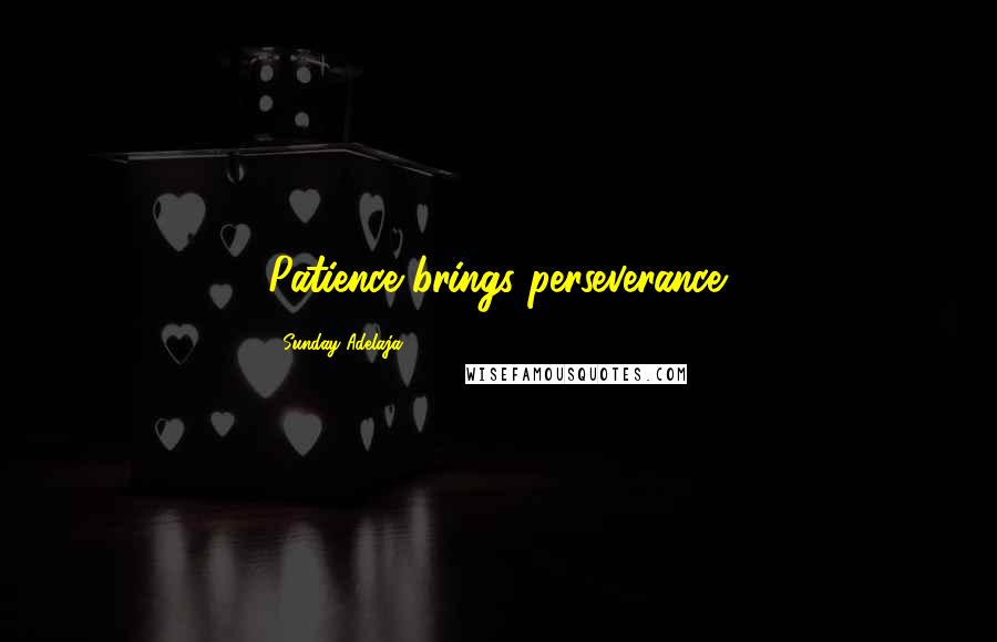 Sunday Adelaja Quotes: Patience brings perseverance.