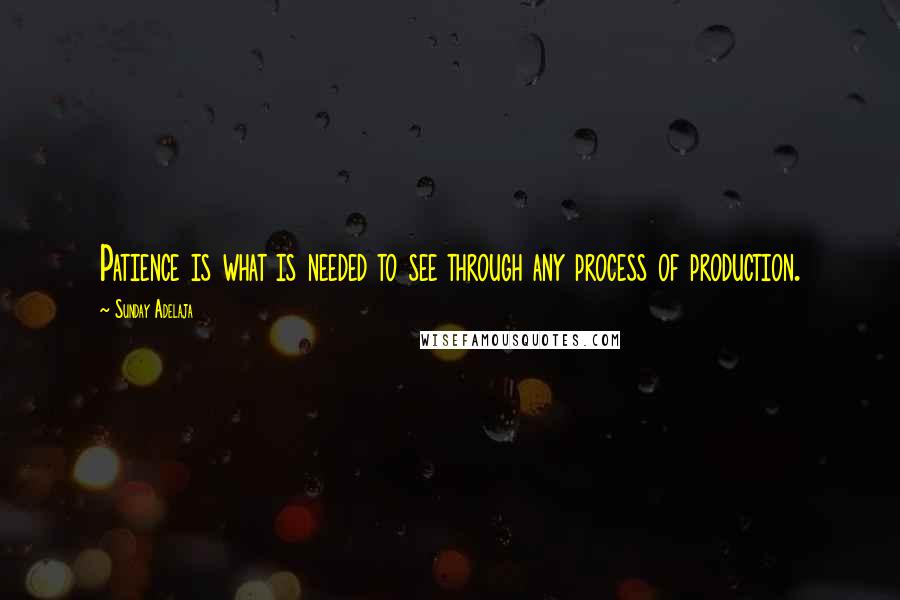 Sunday Adelaja Quotes: Patience is what is needed to see through any process of production.