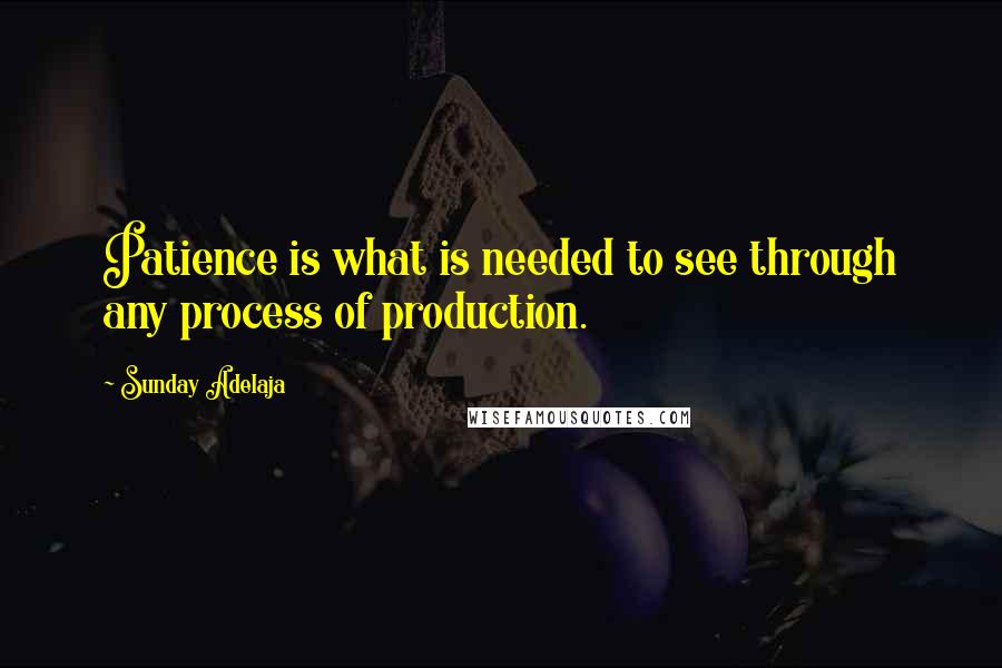 Sunday Adelaja Quotes: Patience is what is needed to see through any process of production.