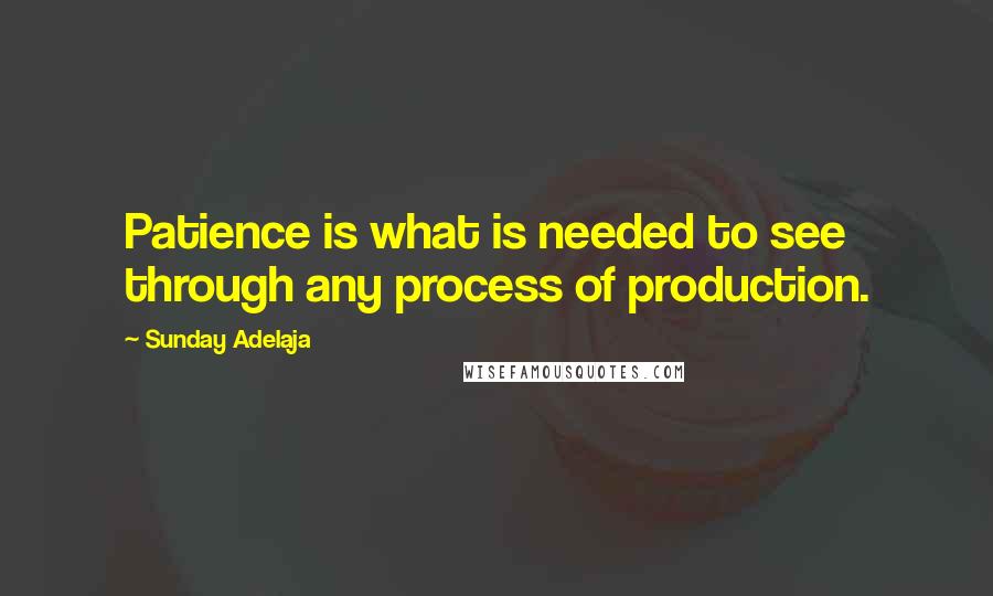 Sunday Adelaja Quotes: Patience is what is needed to see through any process of production.