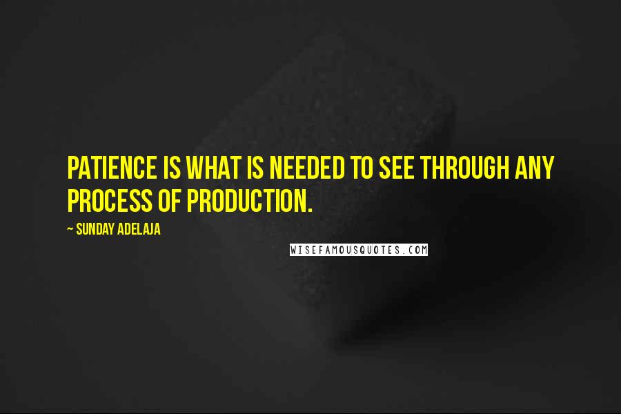 Sunday Adelaja Quotes: Patience is what is needed to see through any process of production.