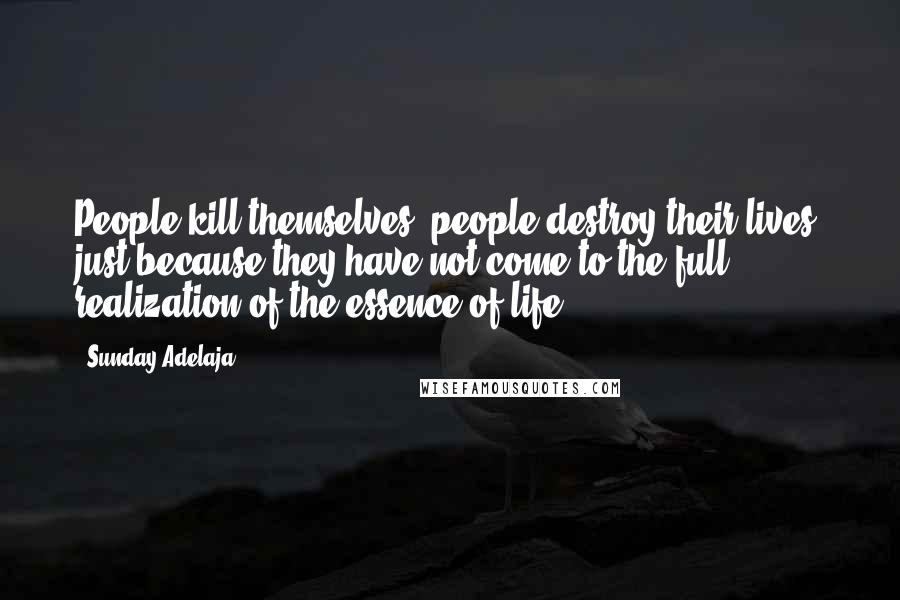 Sunday Adelaja Quotes: People kill themselves, people destroy their lives, just because they have not come to the full realization of the essence of life.