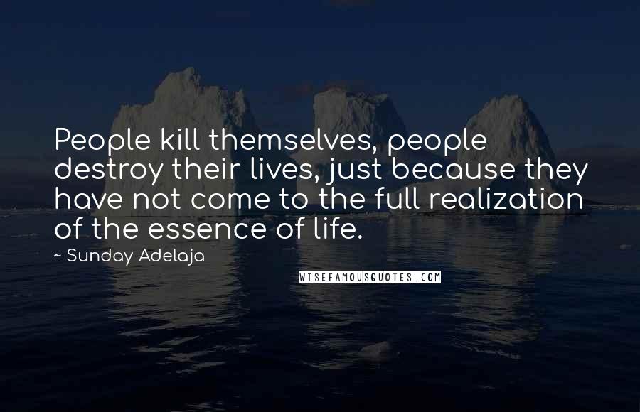 Sunday Adelaja Quotes: People kill themselves, people destroy their lives, just because they have not come to the full realization of the essence of life.