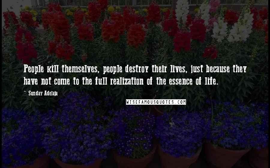 Sunday Adelaja Quotes: People kill themselves, people destroy their lives, just because they have not come to the full realization of the essence of life.
