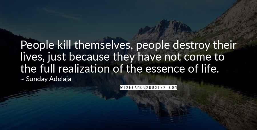 Sunday Adelaja Quotes: People kill themselves, people destroy their lives, just because they have not come to the full realization of the essence of life.
