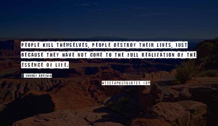 Sunday Adelaja Quotes: People kill themselves, people destroy their lives, just because they have not come to the full realization of the essence of life.