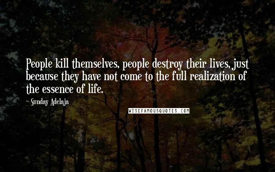 Sunday Adelaja Quotes: People kill themselves, people destroy their lives, just because they have not come to the full realization of the essence of life.