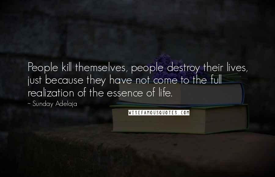 Sunday Adelaja Quotes: People kill themselves, people destroy their lives, just because they have not come to the full realization of the essence of life.