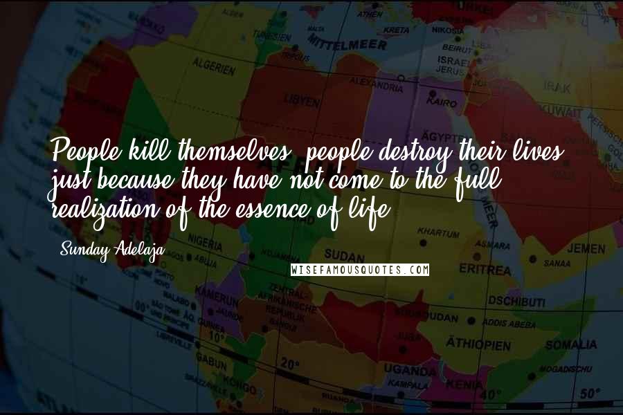 Sunday Adelaja Quotes: People kill themselves, people destroy their lives, just because they have not come to the full realization of the essence of life.