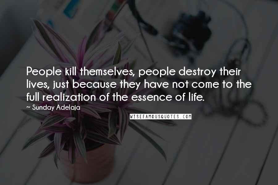 Sunday Adelaja Quotes: People kill themselves, people destroy their lives, just because they have not come to the full realization of the essence of life.