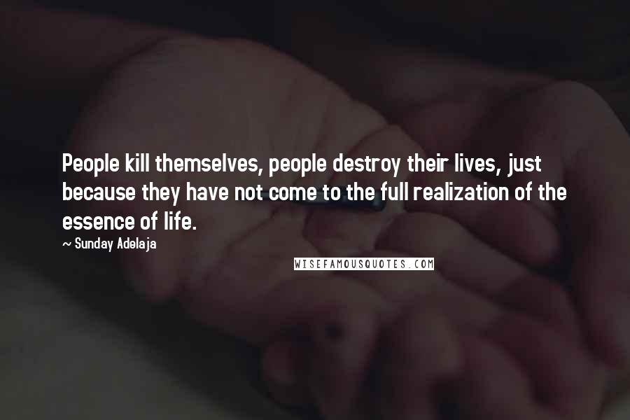 Sunday Adelaja Quotes: People kill themselves, people destroy their lives, just because they have not come to the full realization of the essence of life.