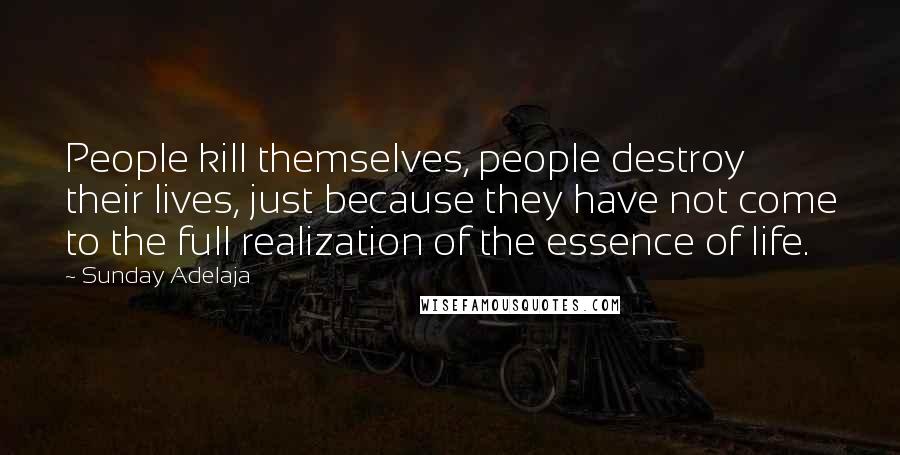 Sunday Adelaja Quotes: People kill themselves, people destroy their lives, just because they have not come to the full realization of the essence of life.