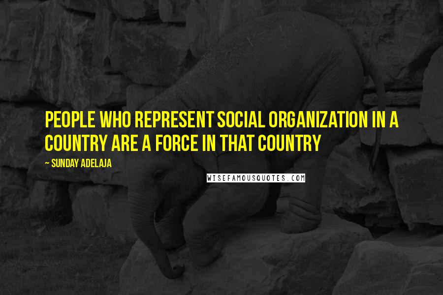 Sunday Adelaja Quotes: People who represent social organization in a country are a force in that country