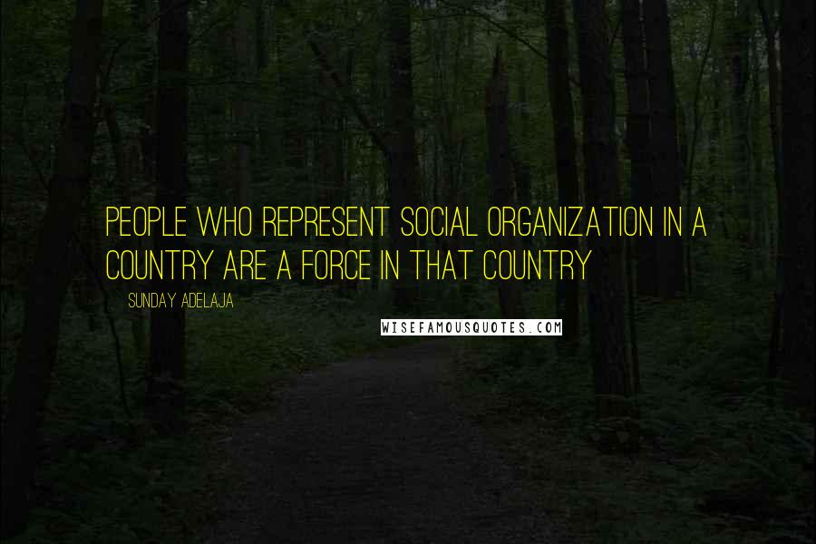 Sunday Adelaja Quotes: People who represent social organization in a country are a force in that country