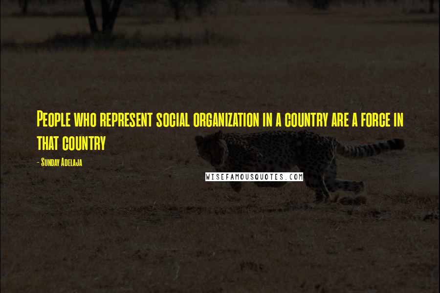 Sunday Adelaja Quotes: People who represent social organization in a country are a force in that country