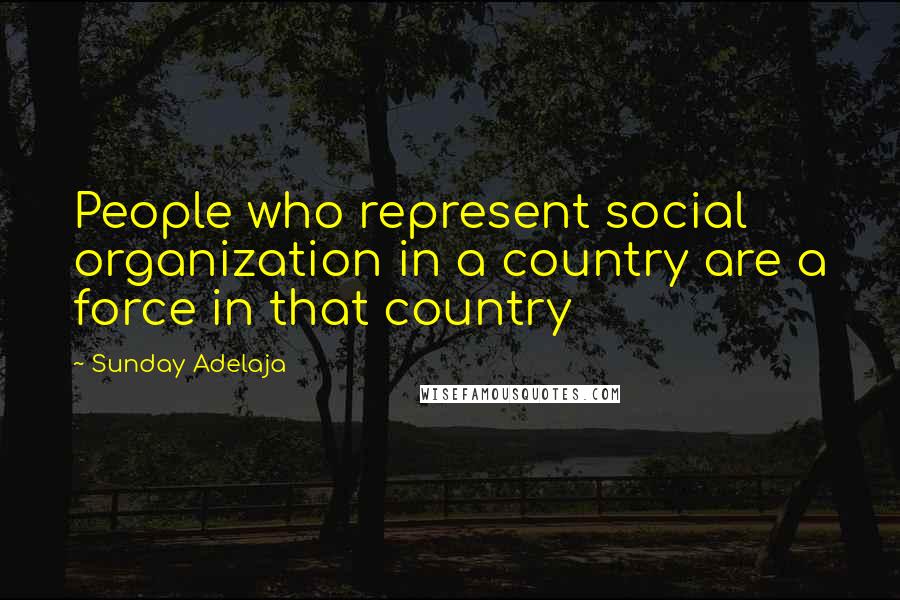 Sunday Adelaja Quotes: People who represent social organization in a country are a force in that country
