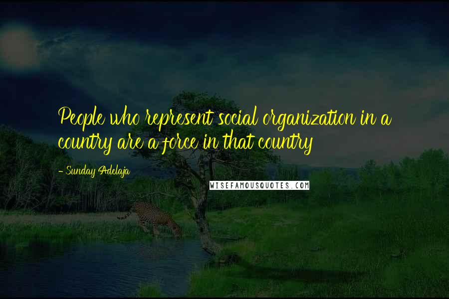 Sunday Adelaja Quotes: People who represent social organization in a country are a force in that country