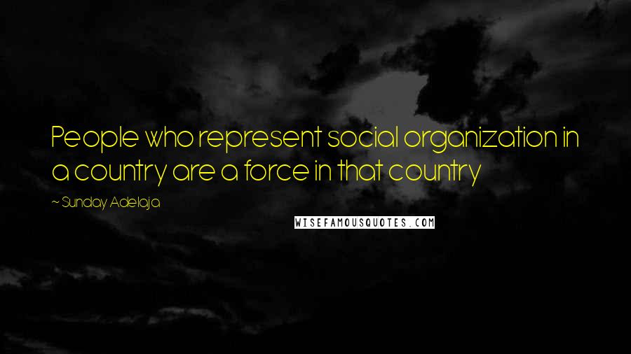Sunday Adelaja Quotes: People who represent social organization in a country are a force in that country