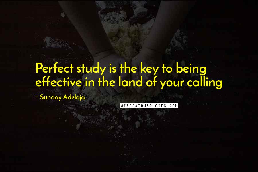 Sunday Adelaja Quotes: Perfect study is the key to being effective in the land of your calling