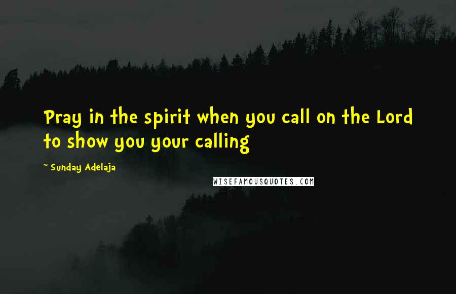 Sunday Adelaja Quotes: Pray in the spirit when you call on the Lord to show you your calling