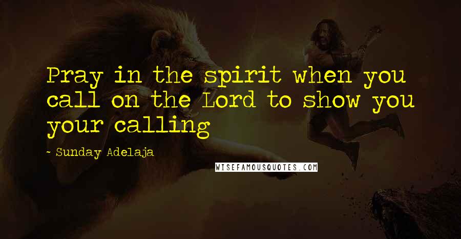 Sunday Adelaja Quotes: Pray in the spirit when you call on the Lord to show you your calling