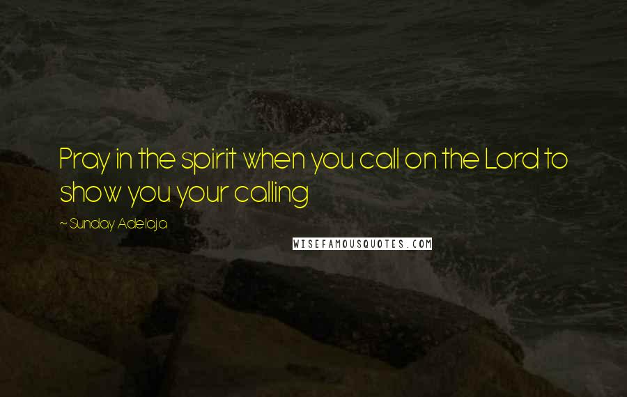 Sunday Adelaja Quotes: Pray in the spirit when you call on the Lord to show you your calling