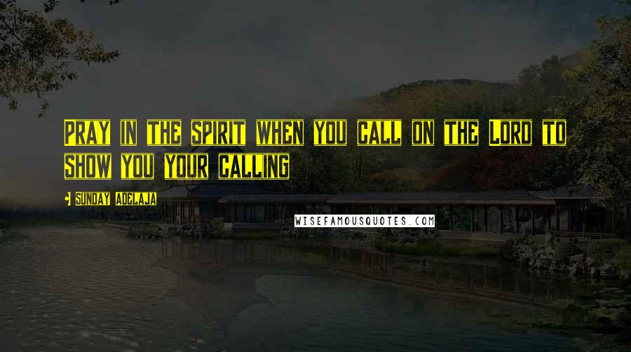 Sunday Adelaja Quotes: Pray in the spirit when you call on the Lord to show you your calling